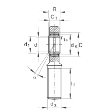 US GAR50-DO-2RS, (j) DIN ISO 12 240-4 (bio)(zhn)ݼySo(h)ɂ(c)ܷ